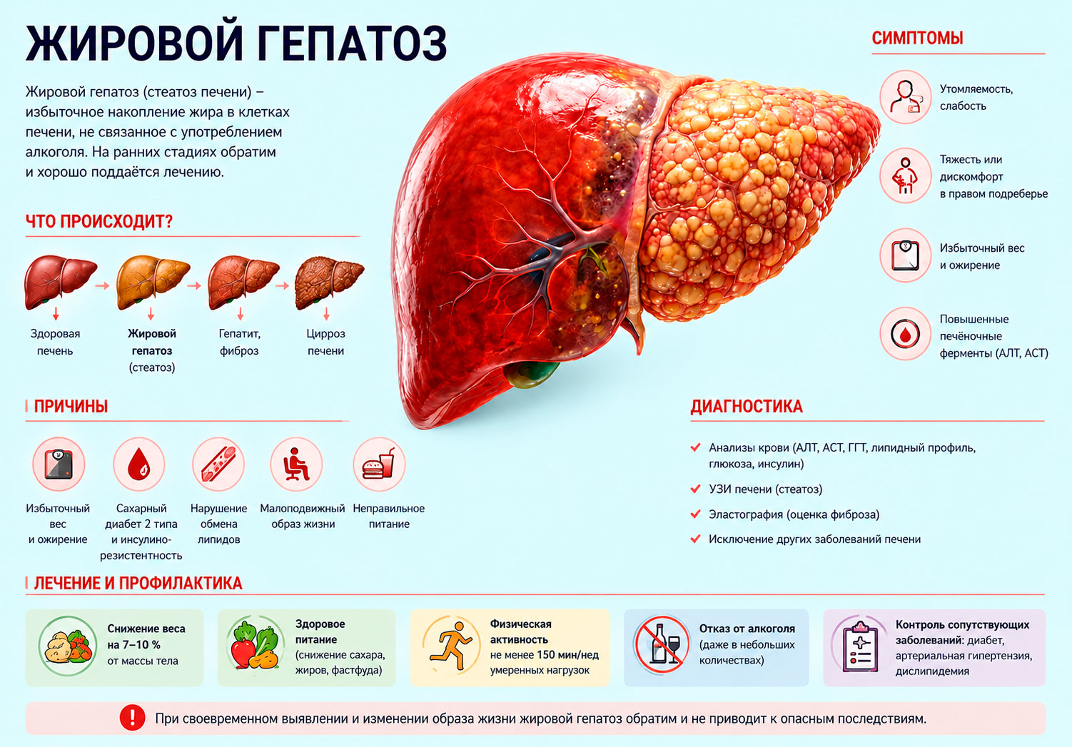 infografika